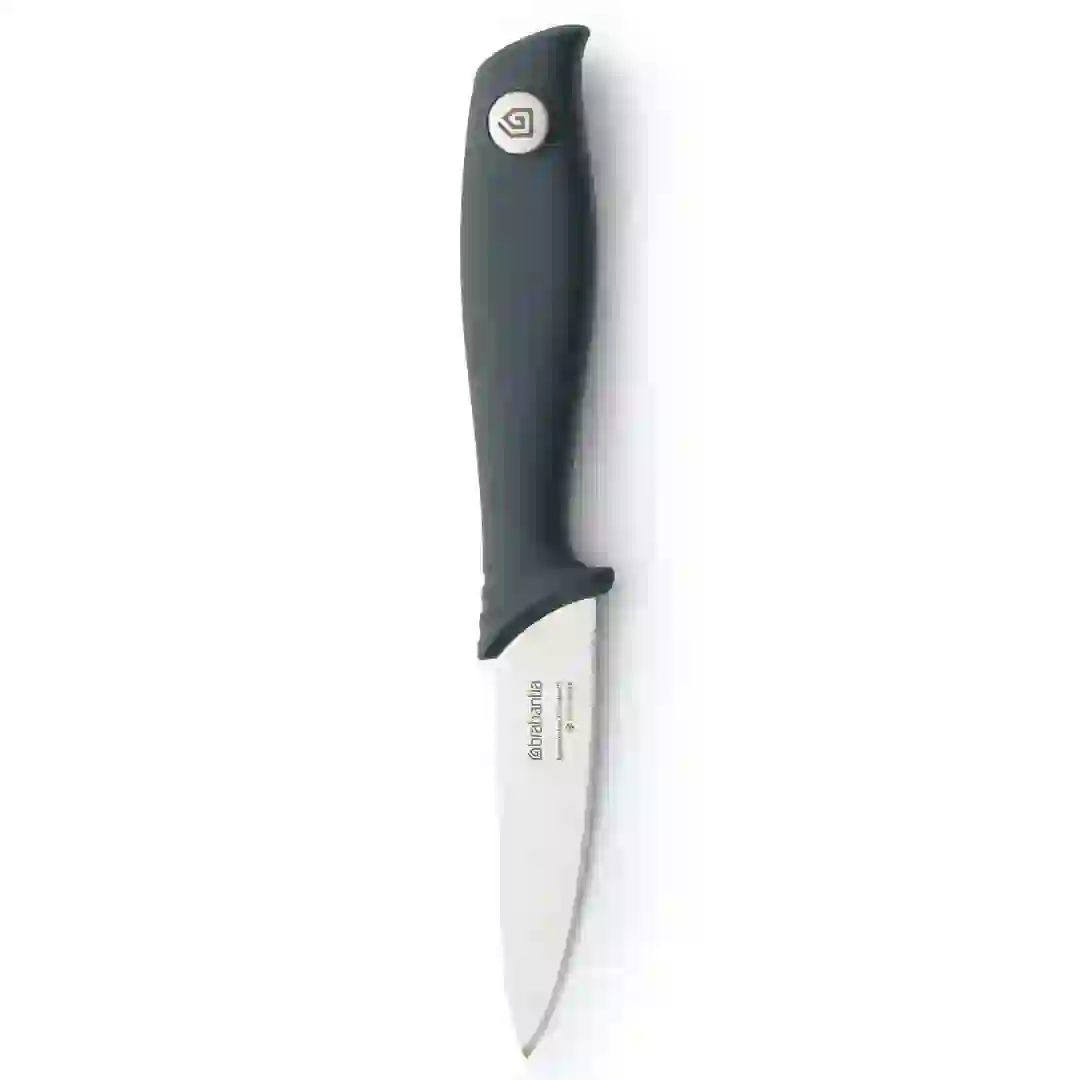 Brabantia Tasty+ Steel Paring Knife (1.7 x 2.5 x 20 cm)