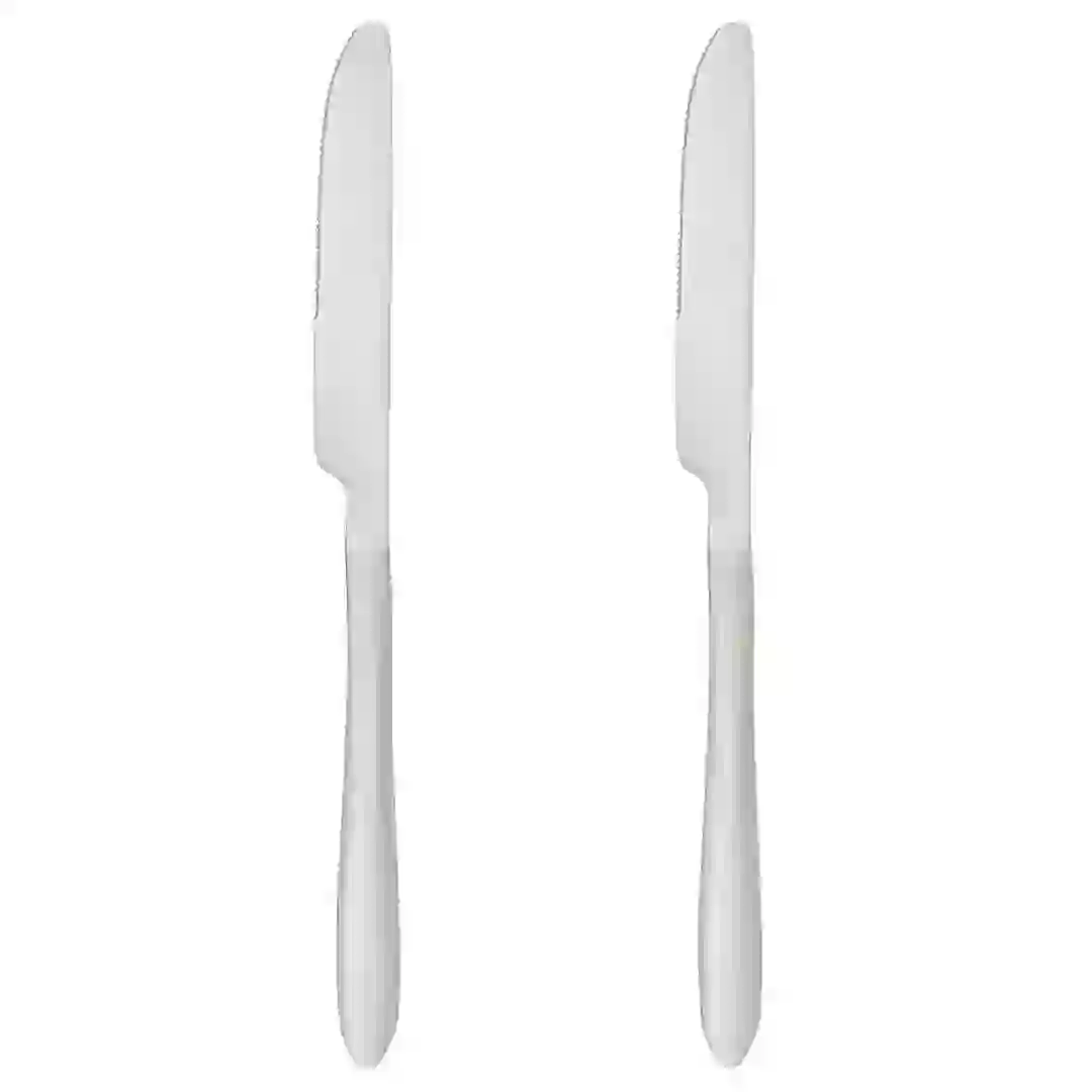 SG Stainless Steel Knife Set (Silver, 2 Pc.)