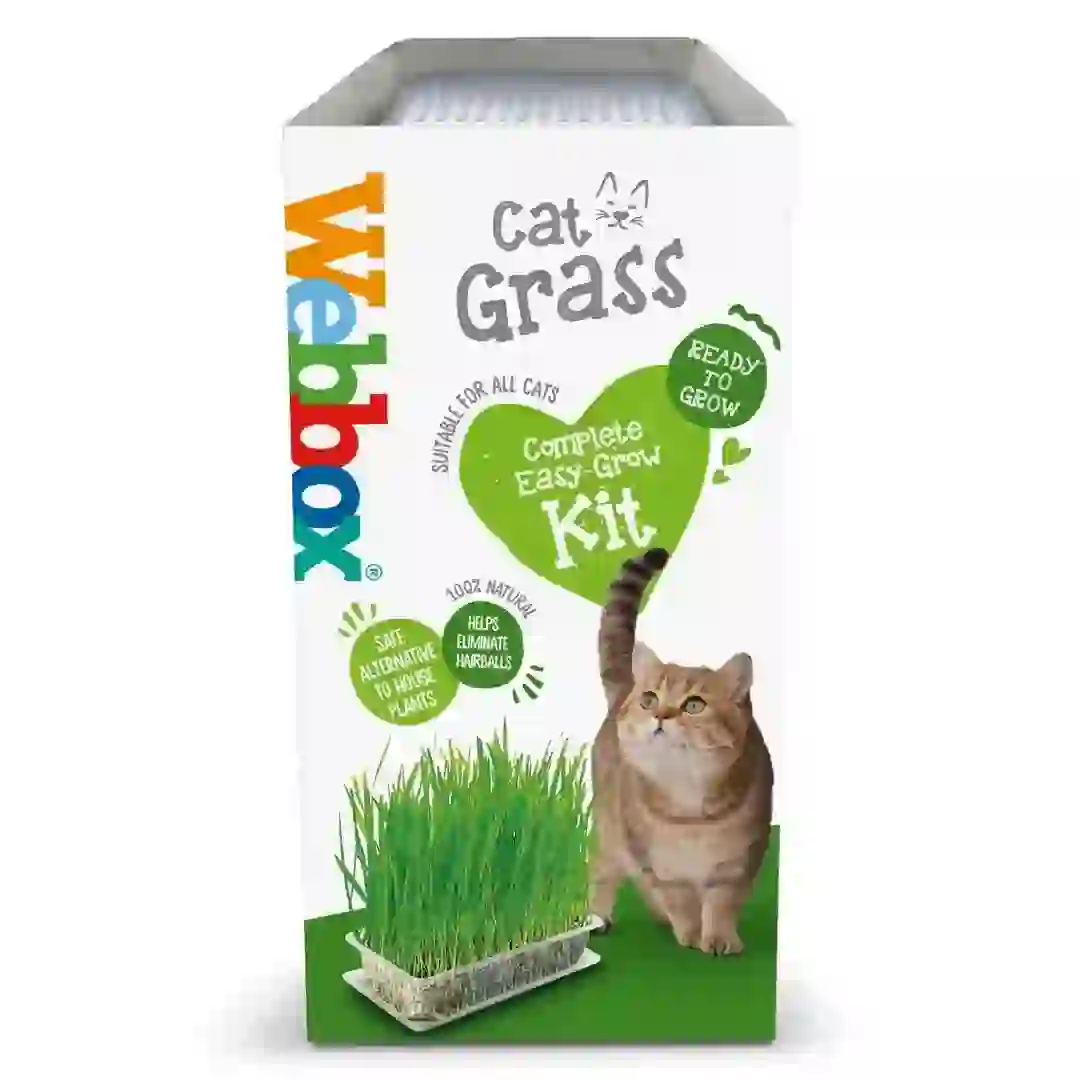Webbox Cat Grass Kit (120 g)