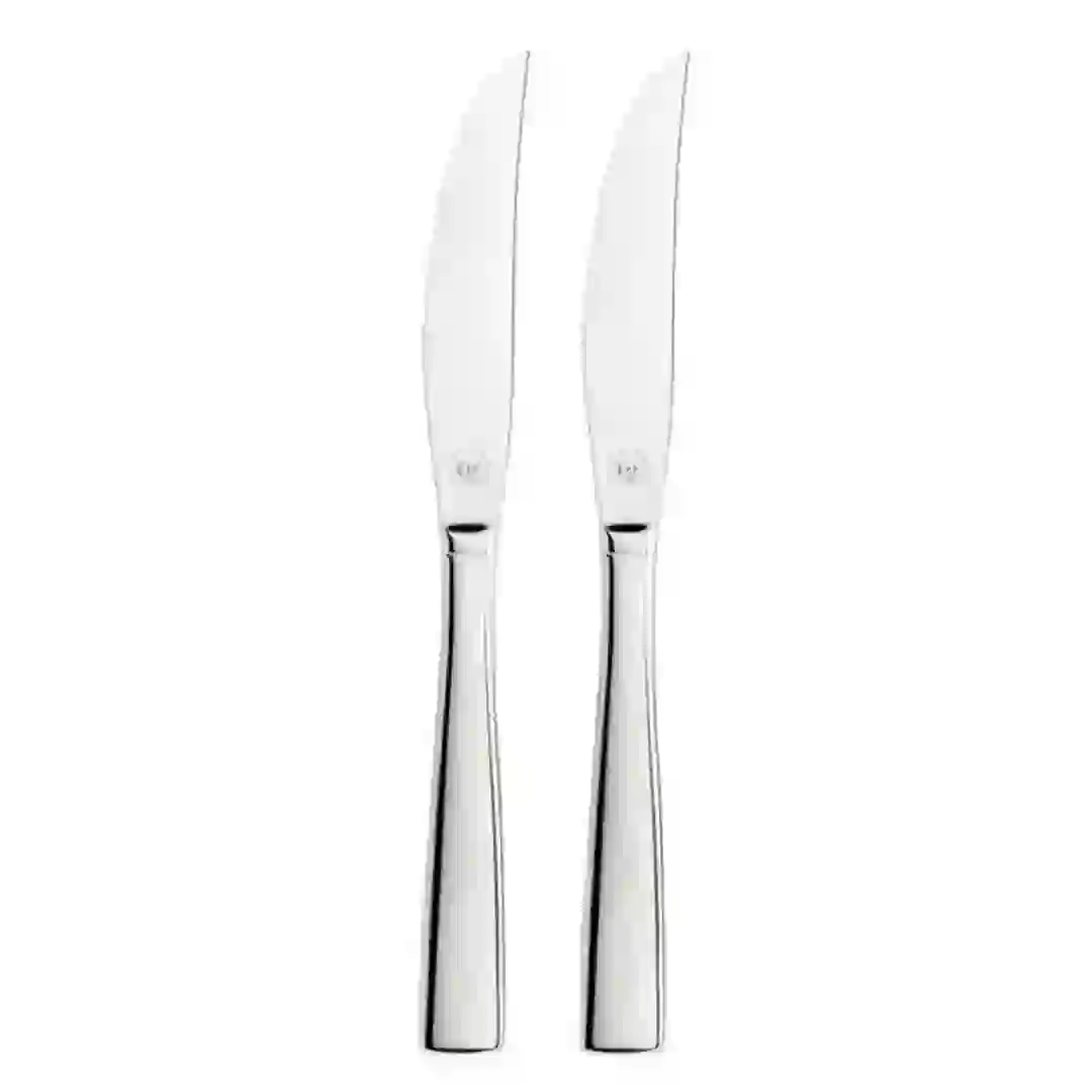 Amefa Neptune Stainless Steel Table Knives (Silver, 2 Pc.)