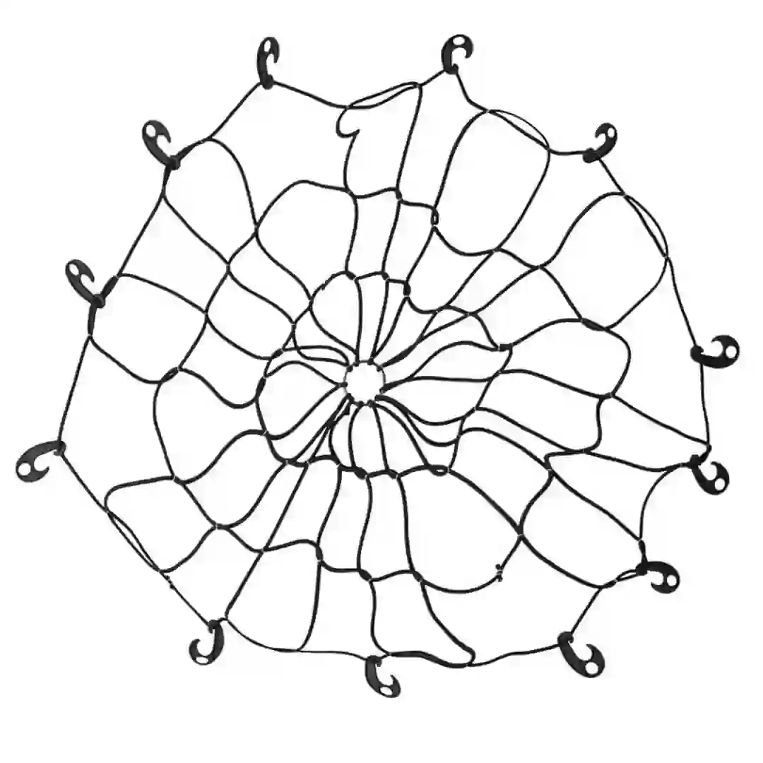Autoplus Cargo Spider Web Net (101.6 x 76.2 cm, Black)