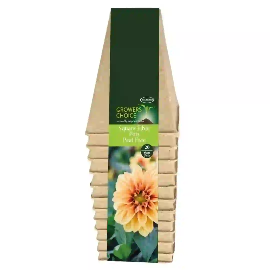 Tildenet Growers Choice Sqaure Fibre Pots (6 cm, 20 Pc.)