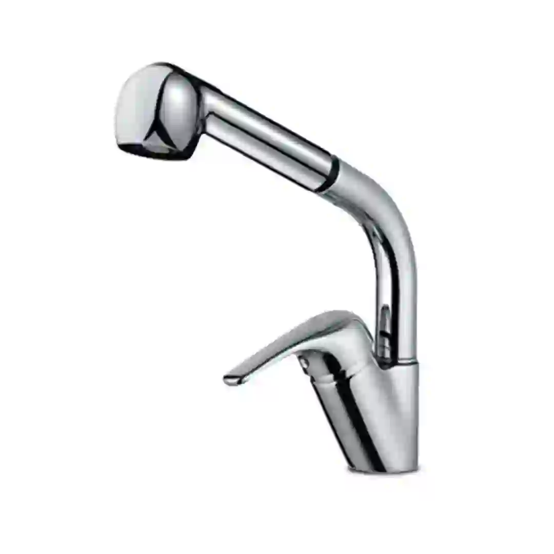 Bold Alton Sink mixer Tap with Pull-Out Spray (8 x 24.5 x 34 cm, Chrome)