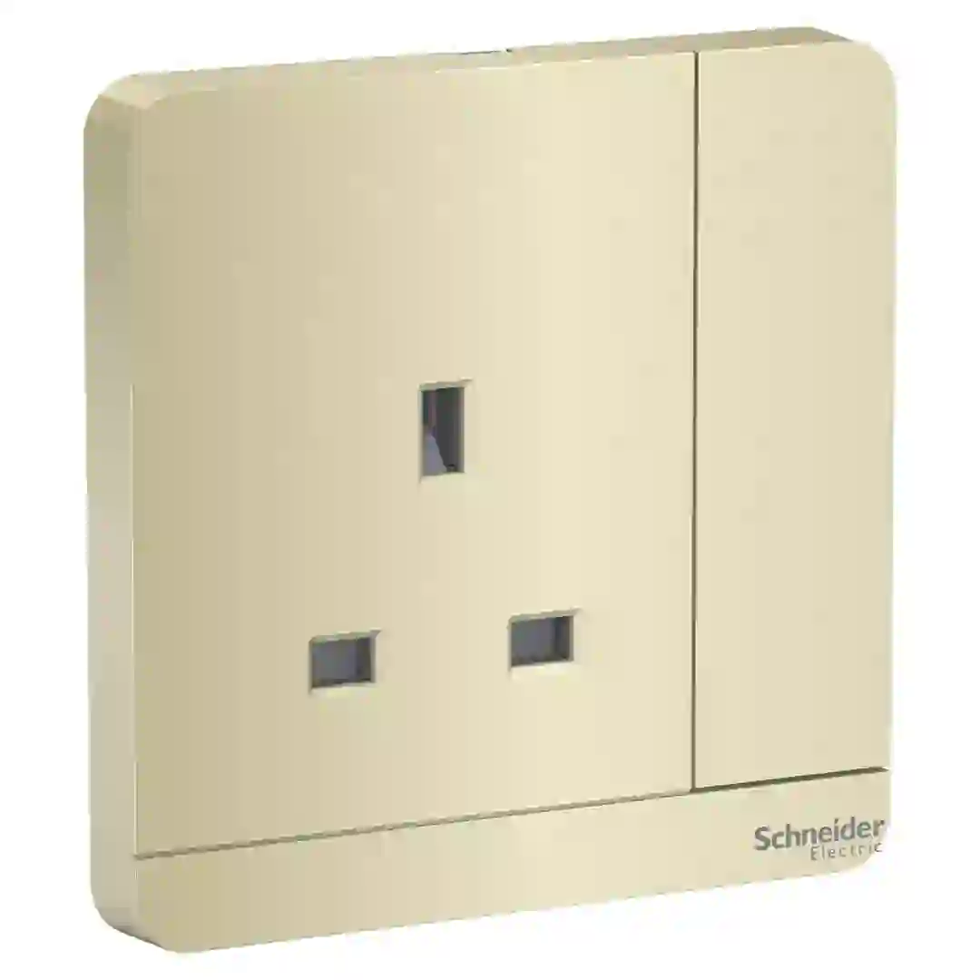 Schneider Electric AvatarOn 1 Gang Switched Socket (8.6 x 8.6 x 3.17 cm)