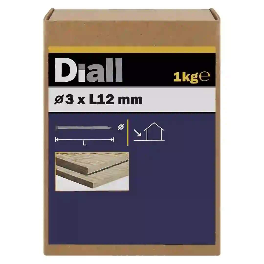 Diall Galvanised Carbon Steel Clout Nail Pack (3 x 12 mm, 1 kg)