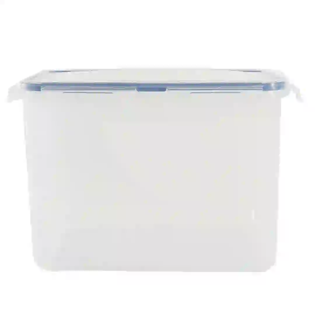 Lock & Lock Rectangular Plastic Food Container (3.9 L)