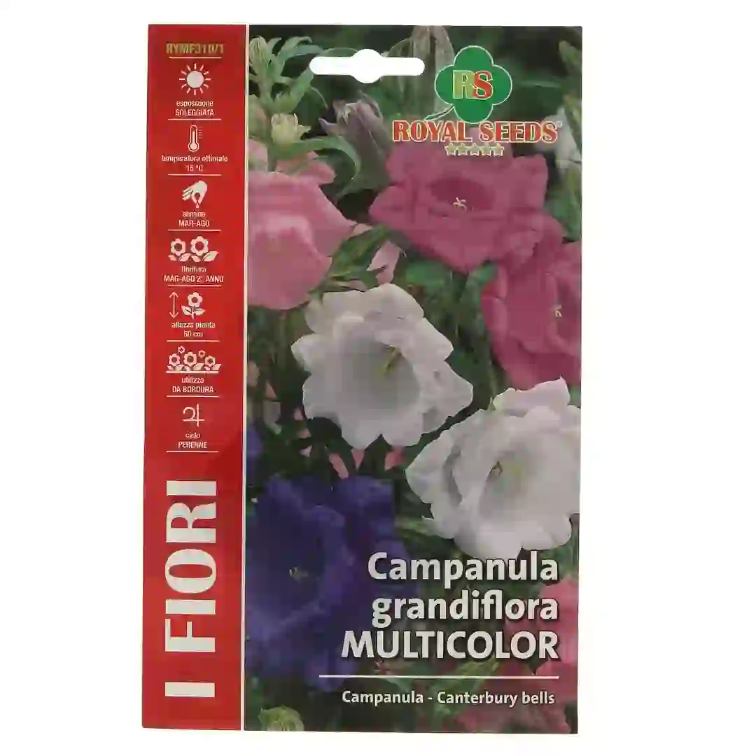 Royal Seeds Mixed Canterbury Bells Seed Pack